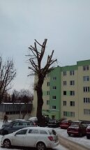 KRN5 ul. Lewakowskiego 7