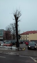 Śródmieście1 ul. Zamkowa